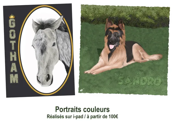 Caricature & portraits à partir de photos