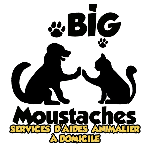 Logos entreprises